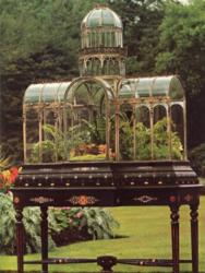 Buy HPotter Terrariums Online